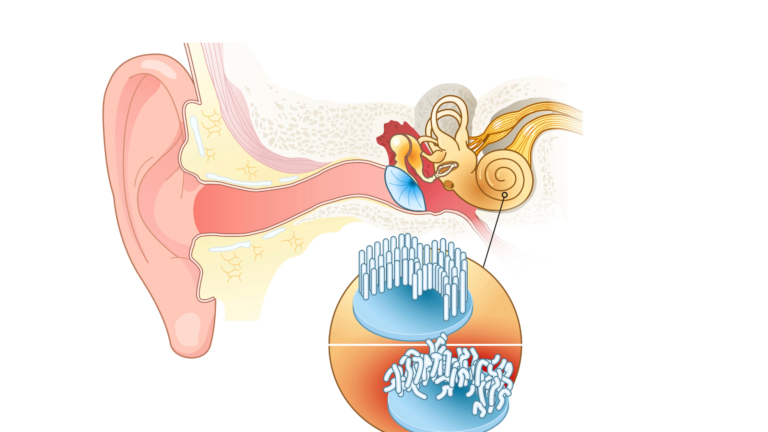 Laura Patricia banner